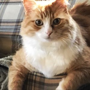 Meet your Posher, Caroline